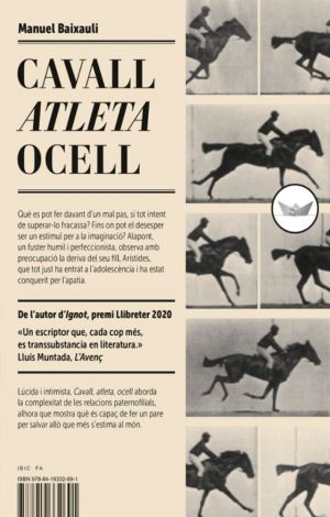 Cavall atleta ocell