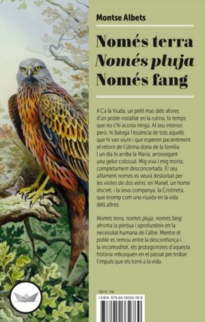 Només terra Només pluja Només fang